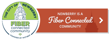 fiber connected community